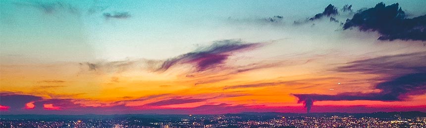 阜新茶虫网_阜新品茶